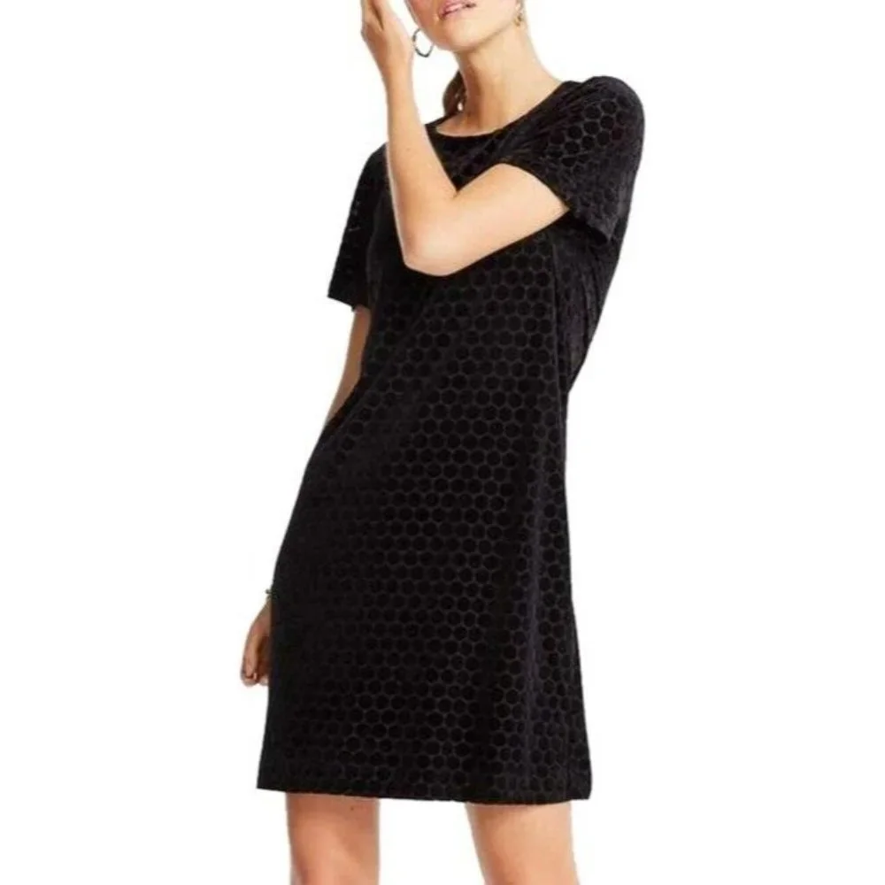 Ann Taylor Dress Black Velvet Polka Dot Short Sleeve Mini Shift